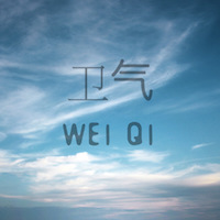 Wei Qi