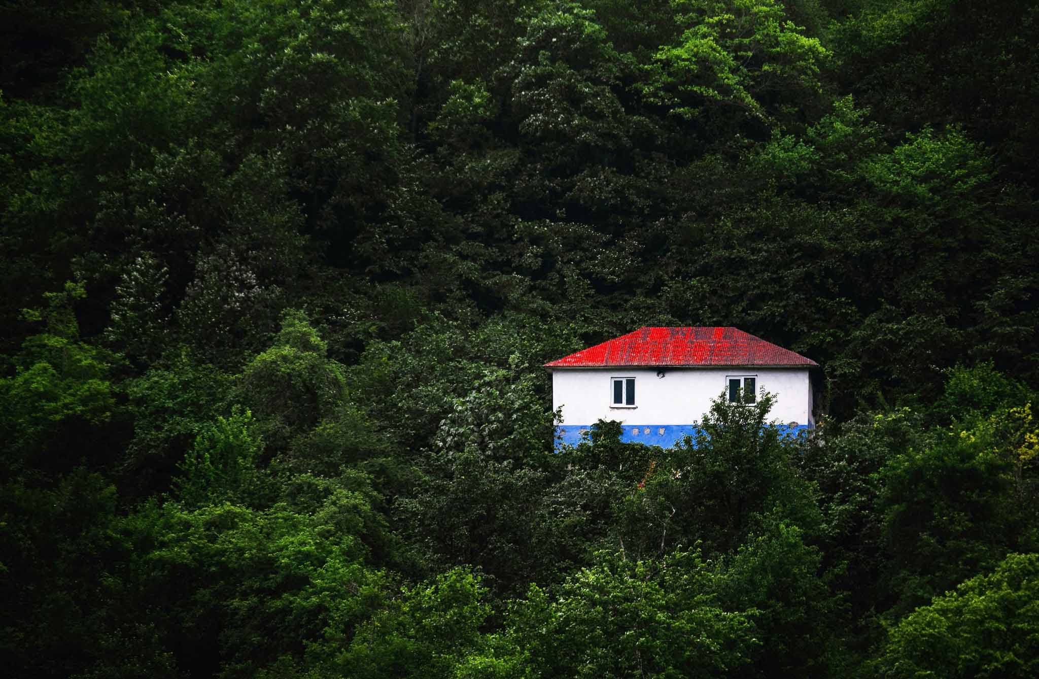 A secluded house surrounded by dense trees, illustrating a natural retreat setting with lush greenery and sunlight filtering through the foliage.