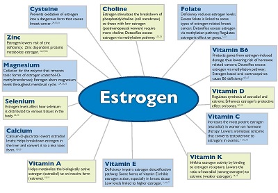 Vitamins and Estrogen