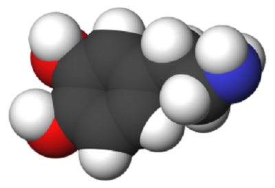 Dopamine Molecule