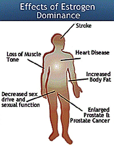 Effects of Estrogen Dominance