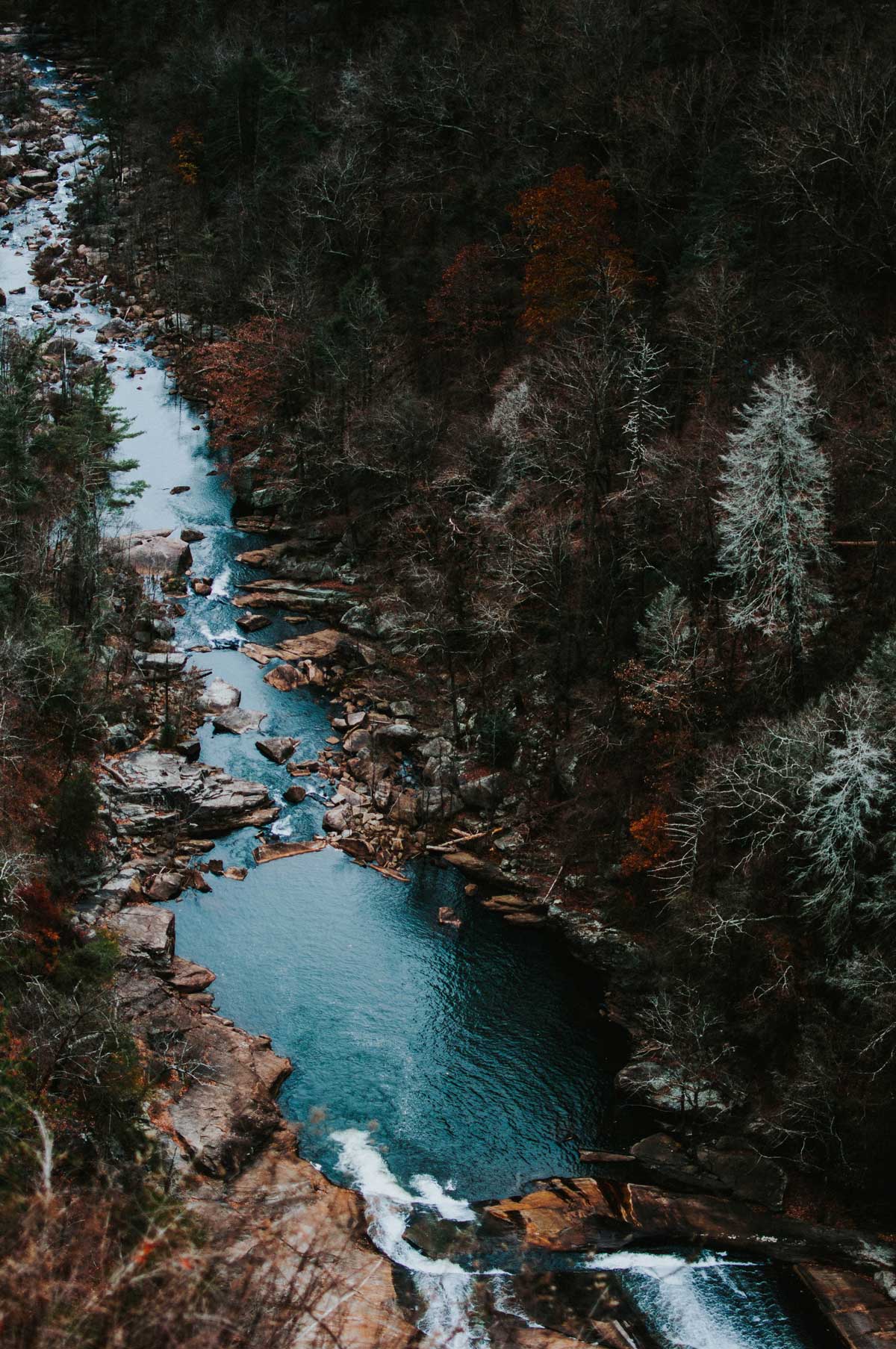 Exploring the Elwha River Deep in the Olympic National Park