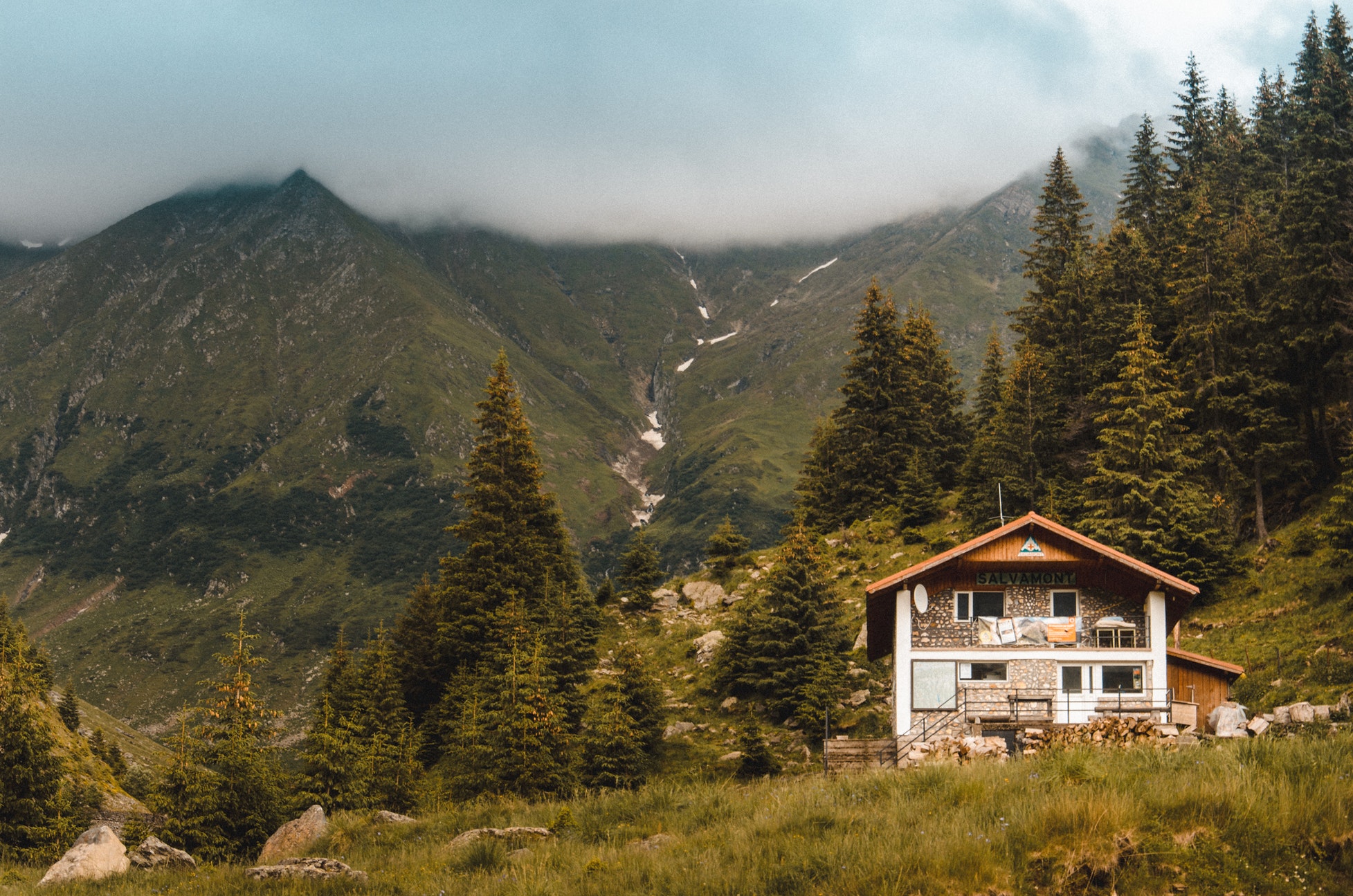 house surrounded by trees