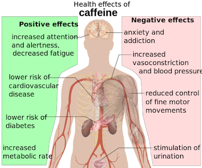 Positive and Negative Effects of Coffee
