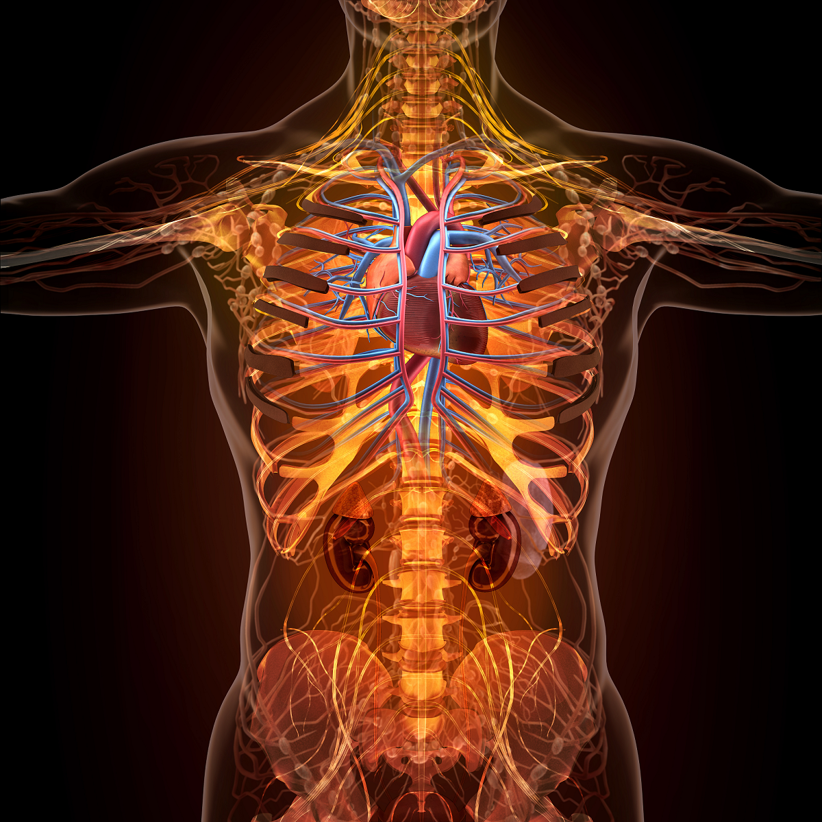 male urological health