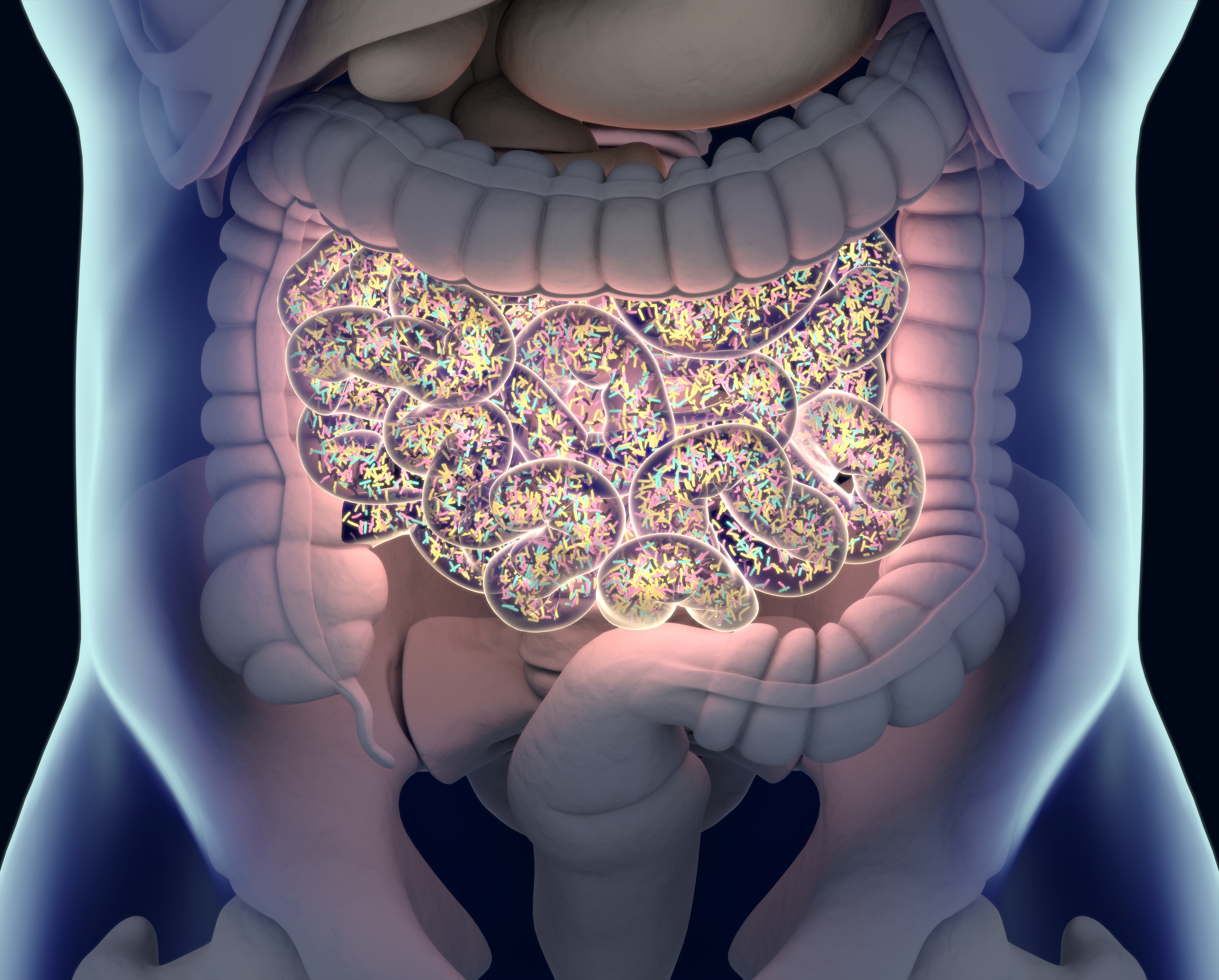 body wide microbiome