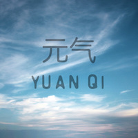 Yuan Qi