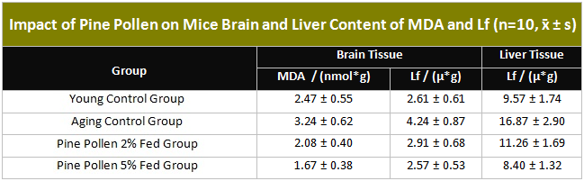 Таблица, показывающая влияние пыльцы сосны на мышах Мозг и содержание печени MDA и Lf
